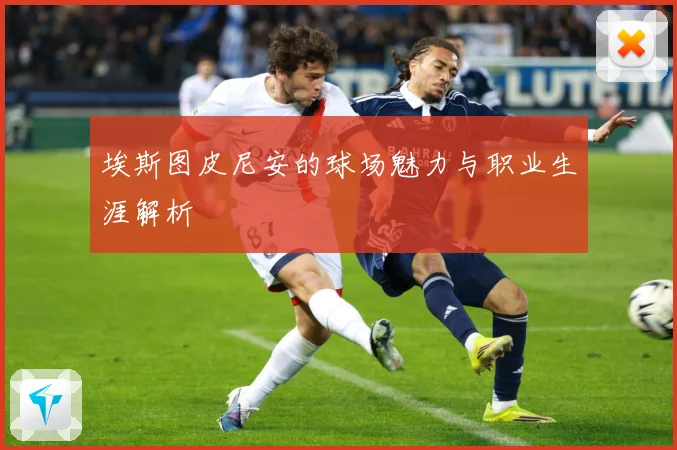 埃斯图皮尼安的球场魅力与职业生涯解析