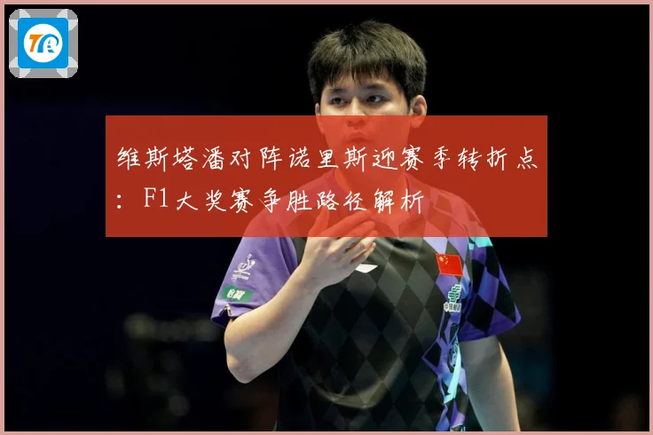维斯塔潘对阵诺里斯迎赛季转折点：F1大奖赛争胜路径解析