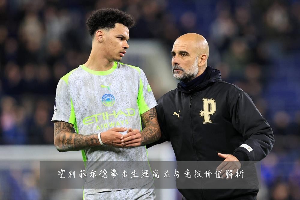霍利菲尔德拳击生涯高光与竞技价值解析