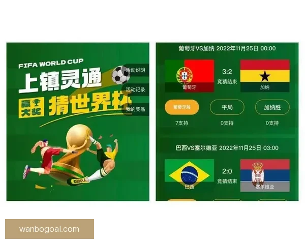 全球球迷热捧世界杯竞猜网站玩法攻略与赛事预测交流平台热门指南